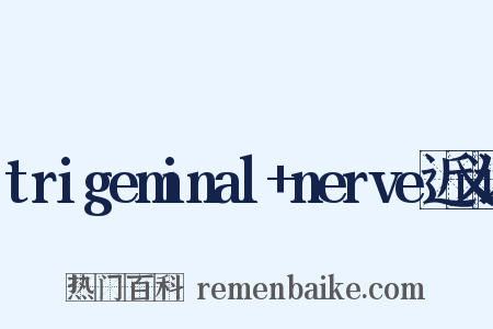 trigeminal+nerve近义词是什么意思的图片
